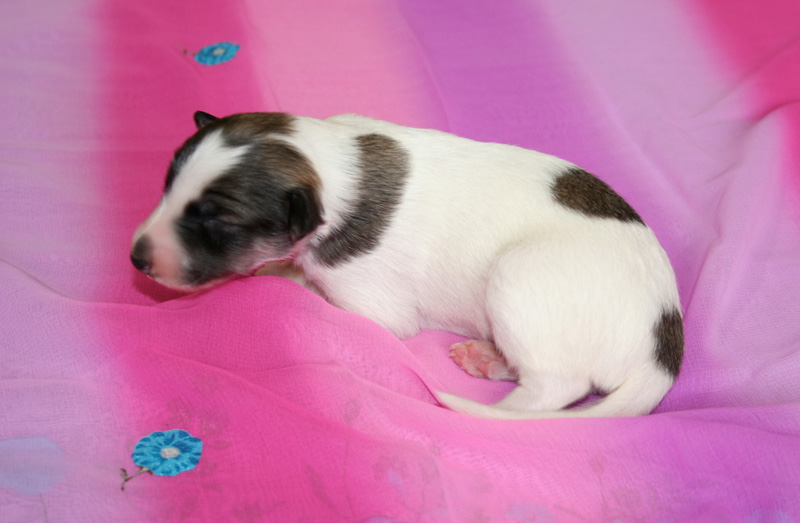 Surf Spots - Girl 2 Left